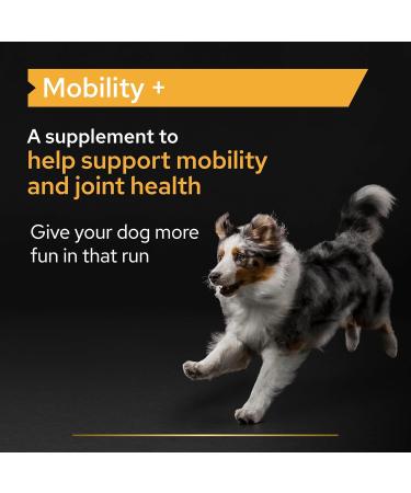 PURINA PRO PLAN | Mobility+ | Powder | Complementary food | Dog | 120g box - Buy Online on GoSupps.com