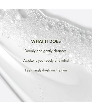 Origins Peace of Mind Daily Body Wash | Cleanses Skin & Awakens Your Senses| With Our Signature Scent of Peppermint Basil and Eucalyptus 6.7 Fl Oz - Buy Online on GoSupps.com