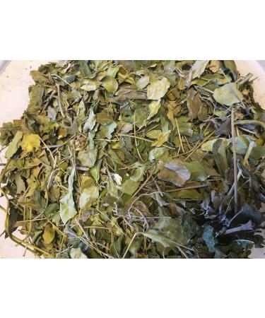 Moringa Leaves – Pure Vitamins + Nutrients – Food for Shrimp, Crabs & Co
