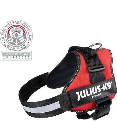 K9 Powerharness S/Mini - Aquamarine | Shop Internationally for the Best Dog Harness  - Buy Online on GoSupps.com