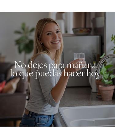  Plameca BERDetox Sabor Fresh 250 ml - Buy Online on GoSupps.com