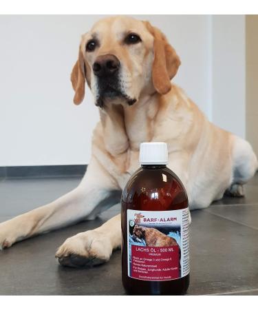 Premium Salmon Oil for Dogs 500ml - Omega 3 & 6 Ideal for Puppies Adults & Seniors | Barf Alarm - Buy Online on GoSupps.com