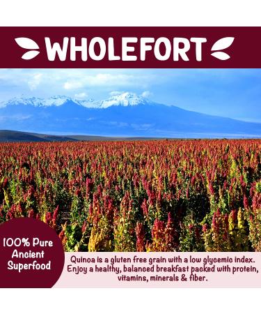 Puffed Quinoa Cereal: Vegan, Gluten Free, Non-GMO | 9 oz | Wholefort Unflavored - Crunchy Quinoa for Snacks, Cereal, Salad Topper | Sustainable Energy | Good Mood Food | Pack of 1 - Buy Online on GoSupps.com