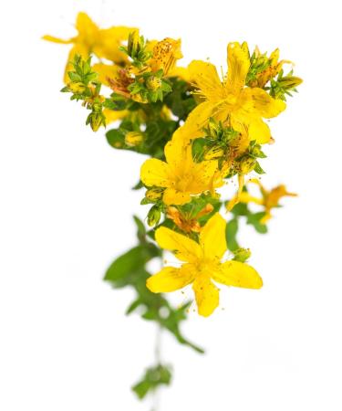 Buy St. John's Wort Oil Set (250ml) & Tissue Paper for Dorn Method/Breuss Massage | International Shipping Available - Buy Online on GoSupps.com