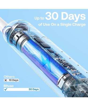 Bitvae R2 Rotating Electric Toothbrush for Adults with 8 Brush Heads 5 Modes Rechargeable Power Toothbrush with Pressure Sensor Pink Pink 1 Pack - Buy Online on GoSupps.com