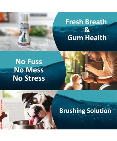Petdentist Natural Mint GUM & FRESH Dental Water Additive Mouthwash- Oral Dental Care for Dogs & Cats Easy Plaque Off Teeth Cleaning Fresh Breath and Gum Health 500ml Bottle with Measure cap - Buy Online on GoSupps.com