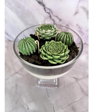 Buy Succulent Candle Centerpiece - Green | Shop Internationally at Your Store Name - Buy Online on GoSupps.com
