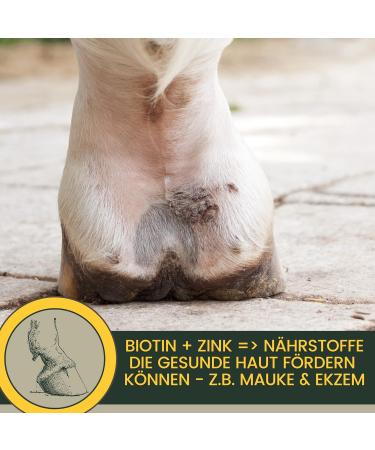 Biotin + Zinc Horse 1Kg - Mineral feed in case of hoof problems biotin & Zinc I Hoof treatment with methionine Zinc b - Buy Online on GoSupps.com