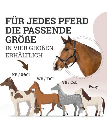 Esposita Seilhafter Ranch Halfter for Horses | Leather & Rope Halter with Brass Fittings | Ideal for Riding & Hiking | Size COB/VB | Black - Buy Online on GoSupps.com