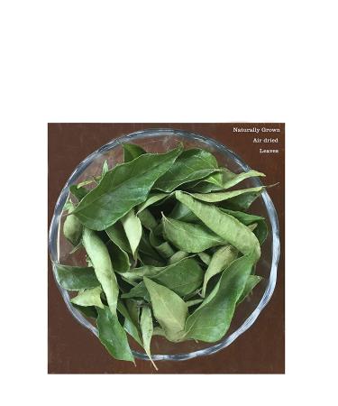 Organic Whole Air Dried Curry Leaves 0.3 oz - Premium Quality (10 g) - 0.3 Ounce Pack - Fresh and Aromatic - Buy Online on GoSupps.com