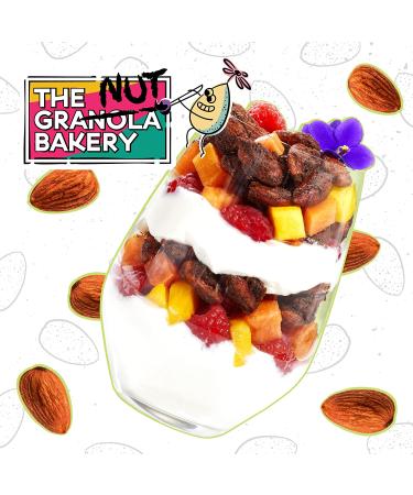 The Nut Bakery Chocolate Almond Keto Snacks - 2g Net Carbs - Low Carb Nuts - 9.5 Ounces (Pack of 1) - Buy Online on GoSupps.com