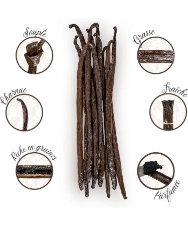 Mavany 10 BOURBON/MADAGASCAR vanilla pods Large size XL 18 to 20 cm Grand cru of gourmet quality selected for - Buy Online on GoSupps.com
