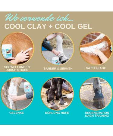 acetic clay horse clay + refreshing horse balm I gel arnica ointment mineral clay I clay cooling paste I gel + horse ointment I gel muscles tendons joints 1.5 kg 500 ml - Buy Online on GoSupps.com