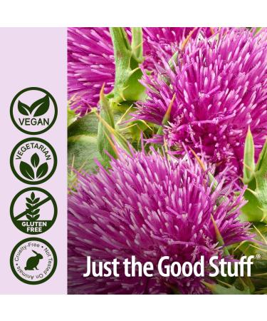 Nature's Answer Milk Thistle Capsules 60 Count - 80% Silymarin Seed Extract - Buy Online on GoSupps.com