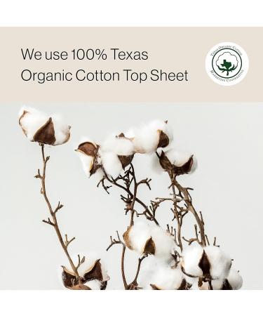 SANDIS Organic Cotton Panty Liners for Women - 36 Count | Ultra Thin Menstrual Feminine Pads with Super Absorbency and Leak Protection - Buy Online on GoSupps.com