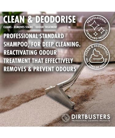 Dirtbusters Carpet Cleaner Shampoo Solution Clean & Deodorise 3-in-1 Cleaning Stain Remove & Odour Treatment Berry Fresh (1L) - Buy Online on GoSupps.com