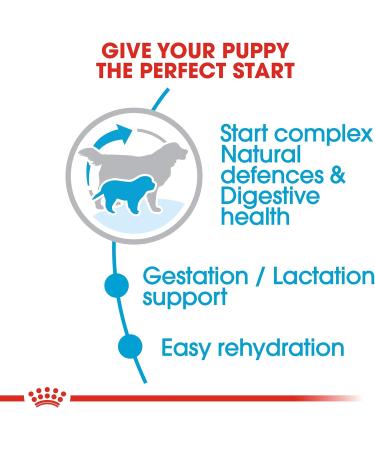 Royal Canin Giant Starter Mother and Babydog 15 kg - Buy Online on GoSupps.com