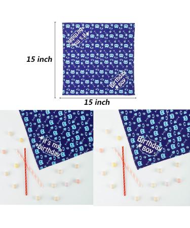 Cat Birthday Bandana & Hat Set | Cute Doggie Party Decorations | Blue - Buy Online on GoSupps.com