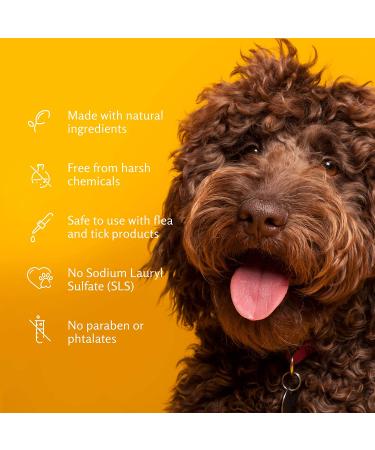 Arm & Hammer Soothing Oatmeal Shampoo for Pets - Vanilla Coconut, 20 fl oz - Buy Online on GoSupps.com