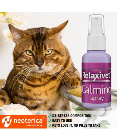 Beloved Pets Calming Pheromone Spray & Scratch Repellent for Cats - Reduce Scratching Furniture Pee - During Travel Fireworks Thunder Vet Zone - Helps to Relief Stress Fighting Hiding - Buy Online on GoSupps.com