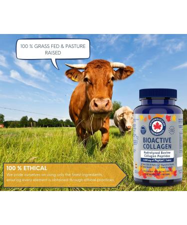 Orthomolecular Laboratories - Bioactive Collagen Hydrolyzed Bovine Collagen Peptides 1000mg 130 Tablets - Vitamins for Bone Strength Digestive Health Joint Health Hair Skin and Nail Vitamins - Buy Online on GoSupps.com