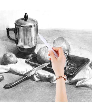CCINEE Blending Stumps and Torillions Set with Pencil Sharpener - Pack of 7 - Buy Online on GoSupps.com