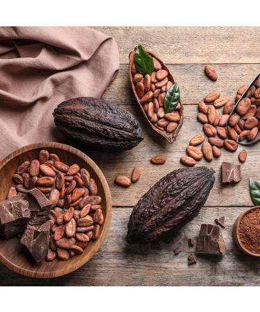 Kocao Powder Bio 1000g - Premium Edel Cocoa Powder (Criollo) | Natural & Aromatic | Achterhof 1kg Pack - Buy Online on GoSupps.com