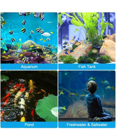 9 in 1 Aquarium Test Strips - 100 Freshwater Saltwater Test Kit for Fish Tank - pH, Nitrate, Nitrite, Copper, Iron, Carbonate Testing - Buy Online on GoSupps.com