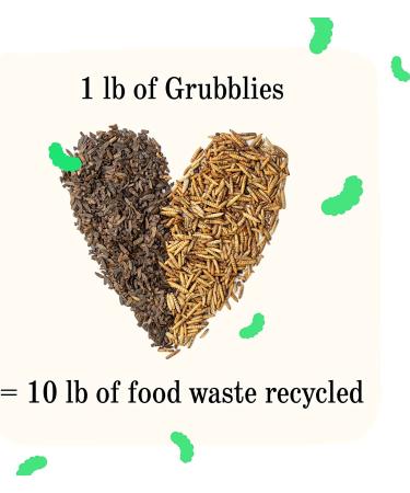 Grubblies - Nutritious Chicken Treats & Feed Supplement with 50x Calcium - Black Soldier Fly Larvae & Natural Grubs for Hens, Birds, & Ducks - 1 LB - Buy Online on GoSupps.com