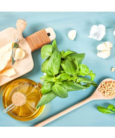Basil Pesto - Pesto alla Genovese (Pack 2 X 190gr) - Buy Online on GoSupps.com