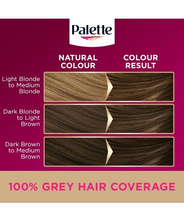  Palette Palette Deluxe Creme Colouration 6-0 Light Brown - Buy Online on GoSupps.com