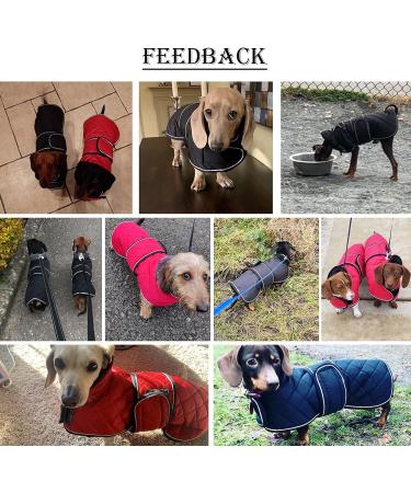 Minezi Dachshund Winter Jacket | Waterproof Dog Jacket with Wool Inner & Adjustable Straps | Black M (Back Length: 42-45cm) - Perfect for Cold Weather - Buy Online on GoSupps.com