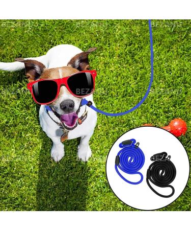 Nylon Dog Slip Lead 2 Pcs Nylon Adjustable Dog Loop Training Leash Heavy Duty Training Lead for Small and Medium Dog Outdoor Training (Blue Black) - Buy Online on GoSupps.com