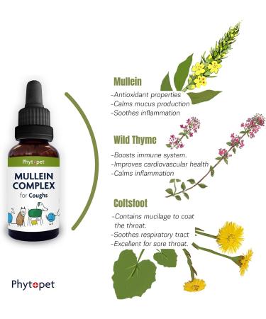 PhytoPet Mullein Complex 30ml - Natural Herbal Remedy for Pets | Coughs & Respiratory Support - Buy Online on GoSupps.com