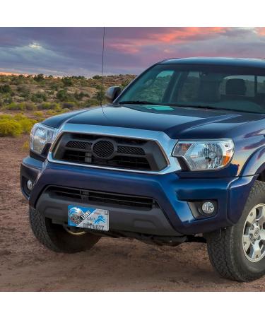 Shop Rico Industries NFL Detroit Lions Unisex License Plate - Official Metal Team Color | Perfect for Fans! - Buy Online on GoSupps.com