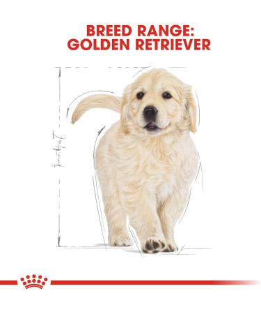 ROYAL CANIN Golden Retriever Junior 3.0 kg - Buy Online on GoSupps.com