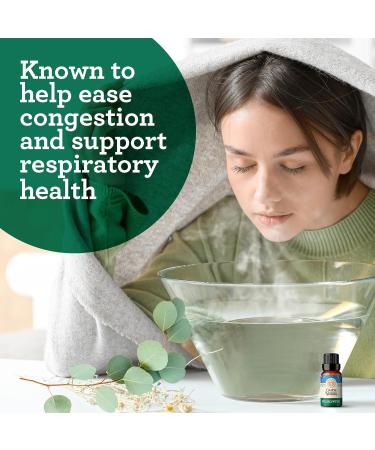 GuruNanda Eucalyptus Essential Oil - 100% Pure Aromatherapy Oil for Diffusers & Massages - Congestion Relief (0.5 Fl Oz - Buy Online on GoSupps.com
