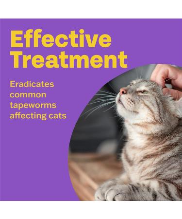 Bob Martin Clear Spot On Wormer for Cats and Kittens - 2 Pipettes, 100% Effective Tapeworm Treatment - Buy Online on GoSupps.com