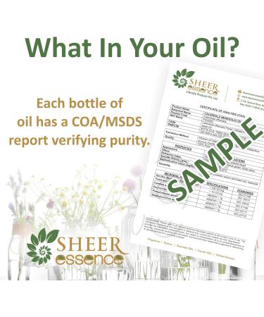 Buy Olibanum Oil 15 ML | 100% Pure Boswellia Serrata Essential Oil | Therapeutic Grade | International Shipping Available - Buy Online on GoSupps.com