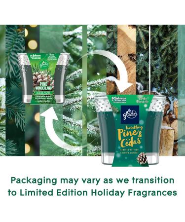Glade Scented Candle Twinkling Pine & Cedar 1-Wick Candle Air Freshener Infused with Essential Oils for Home Fragrance 1 Count (Packaging May Vary) - Buy Online on GoSupps.com