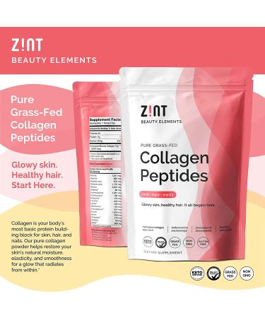 Zint Grass-Fed Beef Collagen - Hydrolyzed Collagen Types I & III - 16 oz (454 g) - Buy Online on GoSupps.com