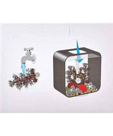 Biorb 48442 Decor Set 15L Red Forest - Realistic Aquatic Plants Roots & Stones for Freshwater & Marine Aquariums - Buy Online on GoSupps.com