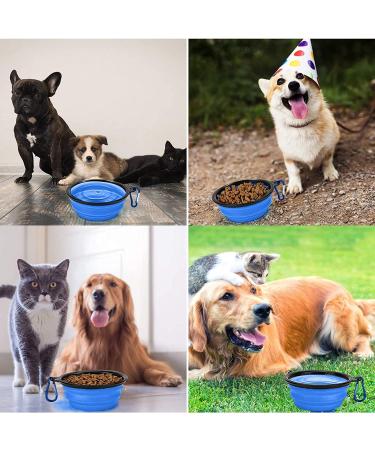 Collapsible Dog Bowl & Portable Cat Water Bowl - 350ml Blue - Travel-Friendly with Carabiner - Buy Online on GoSupps.com