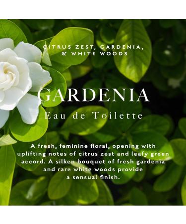 Caswell-Massey Gardenia Eau de Toilette Discovery Uplifting Feminine Floral Fragrance Inspired by New York Botanical Garden Sample Size Vial Perfume for Women 0.25 Fl Oz Gardenia 0.25 Fl Oz (Pack of 1) - Buy Online on GoSupps.com