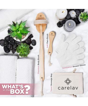 Premium Dry Brushing Body Brush Set | Medium Boar Bristles for Exfoliating & Cleansing | Lymphatic Drainage | Skin Beauty Brush with Handle, Face Brush & Shower Gloves - Buy Online on GoSupps.com
