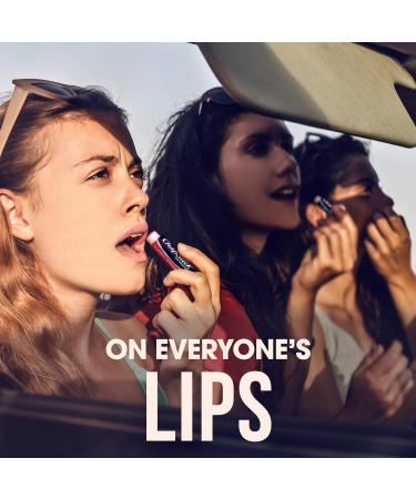 ChapStick Spring/Summer Seasonal Flavored Lip Balm Pack - 3 Count (Pack of 6) | Hydrating Lip Care for All Seasons - International Shipping - Buy Online on GoSupps.com