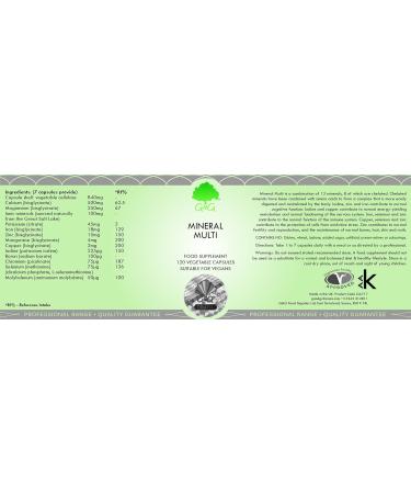 G&G Vitamins Mineral Multi - Vegan 120 Veg Capsules | Essential Nutrients for Optimal Health - Buy Online on GoSupps.com