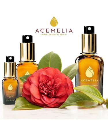 Buy 100% Natural Bio-Camelia Oil | Moisturizing & Nourishing Face Hair Body | Cold Pressed in Galicia | 50 ml - Buy Online on GoSupps.com