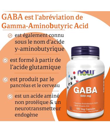 Now Foods GABA 500 mg 100 Vegetable Capsules Laboratory Tested Vitamin B6 Gluten Free Soy Free Vegetarian - Buy Online on GoSupps.com