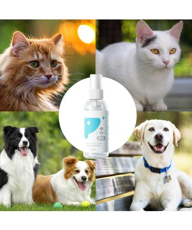 PUCHEN Teeth Cleaning Spray for Pet Pet Teeth Cleaning Spray 60ml - Cleaning Dog Teeth Spray Odors and Freshen Breath for Home Outdoor Travel Use - Buy Online on GoSupps.com